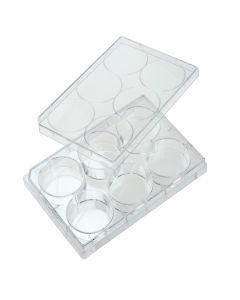 6 Well Tissue Culture Plate with Lid, Individual, Sterile