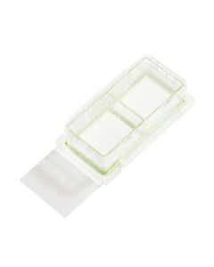 2 Chamber Cell Culture Slide, Glass, Sterile