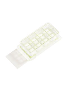 8 Chamber Cell Culture Slide, Glass, Sterile