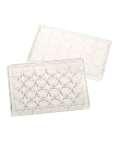 24 Well Tissue Culture Plate with Lid, 10mm Glass Bottom, Individual, Sterile